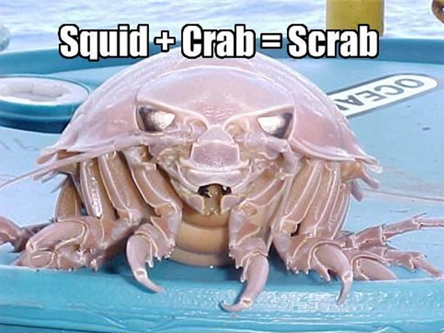 P-Diddy and W1ngman's greatest fears combined: the scrab.