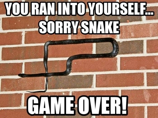 Image 1 - Sorry snake