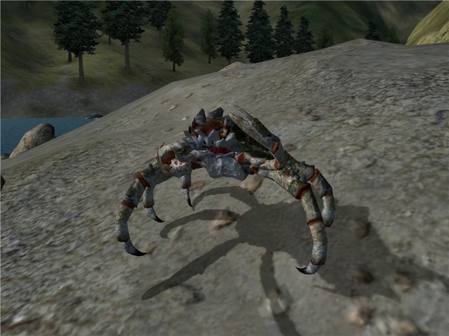 This mudcrab doesn't like being called amusing.